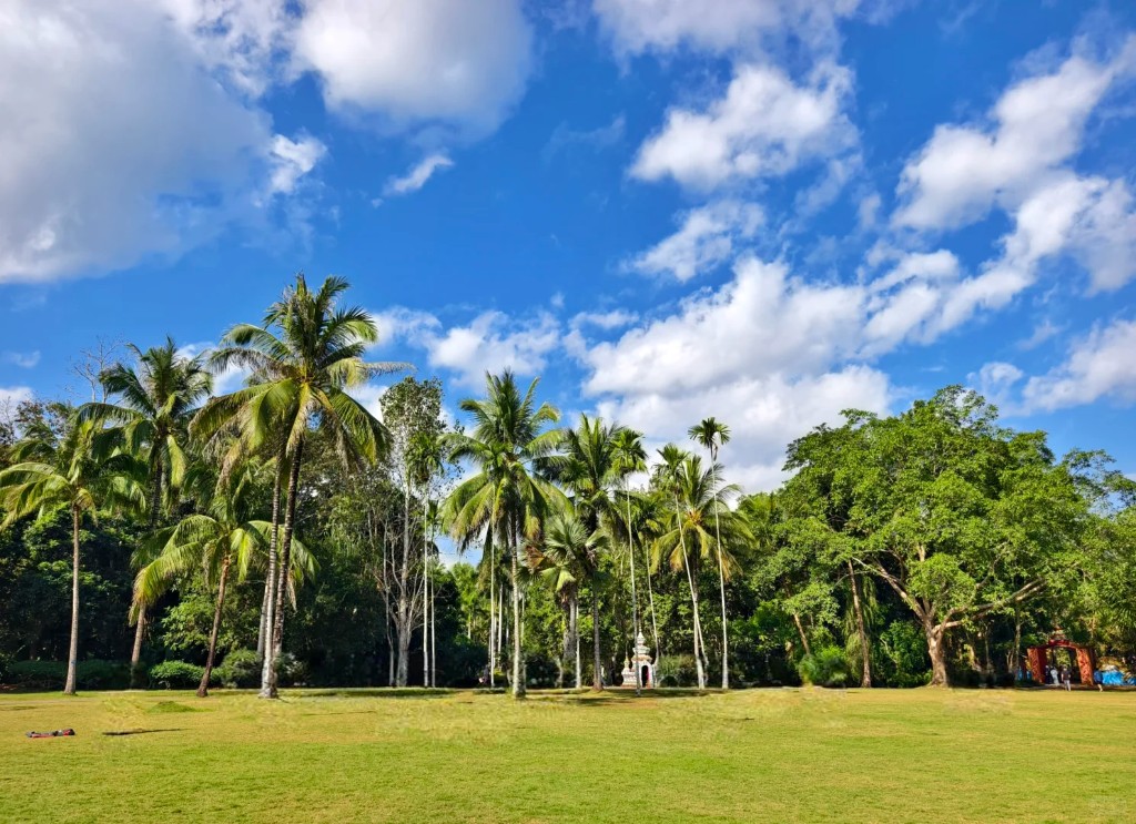 中科院热带植物园